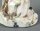 Figur G&auml;rtnerjunge mit Kanne und Spaten Meissen von Victor Acier G&auml;rtnerkinder 1. Wahl Modell C69 1763-74 H&ouml;he:20,3cm