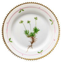 bread plate Draba Wahlenberg&uuml; Hartm. Royal Kopenhagen flora danica form 3552 1st Choice after 1940 (14,5cm)