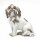 Figur Bologneser Hund nach links schauend Meissen von Johann Joachim K&auml;ndler N/A 1. Wahl Modell 78720 nach 1940 H&ouml;he:16cm