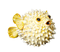 figurine blowfish in yellow Nymphenburg designed by Luise...