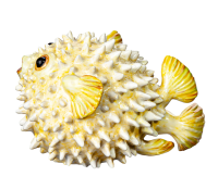 figurine blowfish in yellow Nymphenburg designed by Luise Terletzki-Scherf Animals 1st Choice form 2008 P 1930-1976 hight:7cm