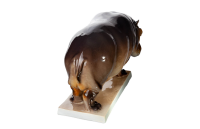 figurine Hippo Matilda Nymphenburg Animals 1st Choice form 399 1964 hight:12cm